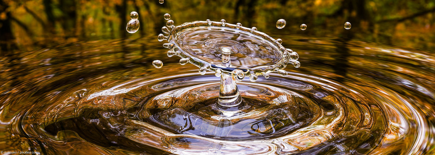 Wassertrophen fällt in einen See