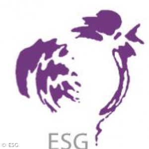 Logo ESG